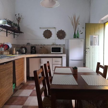 Casa Calma Vandrehjem Colonia del Sacramento Eksteriør billede